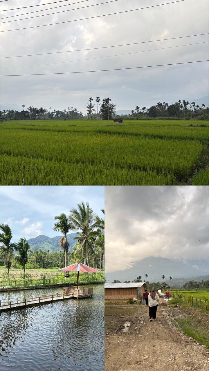 whatsapp image 2026 01 08 at 13.27.54