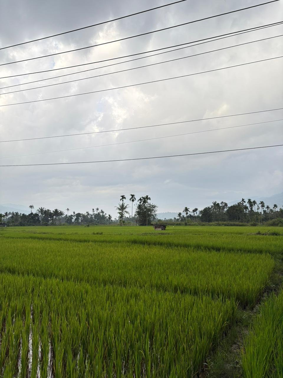 whatsapp image 2026 01 08 at 13.53.45