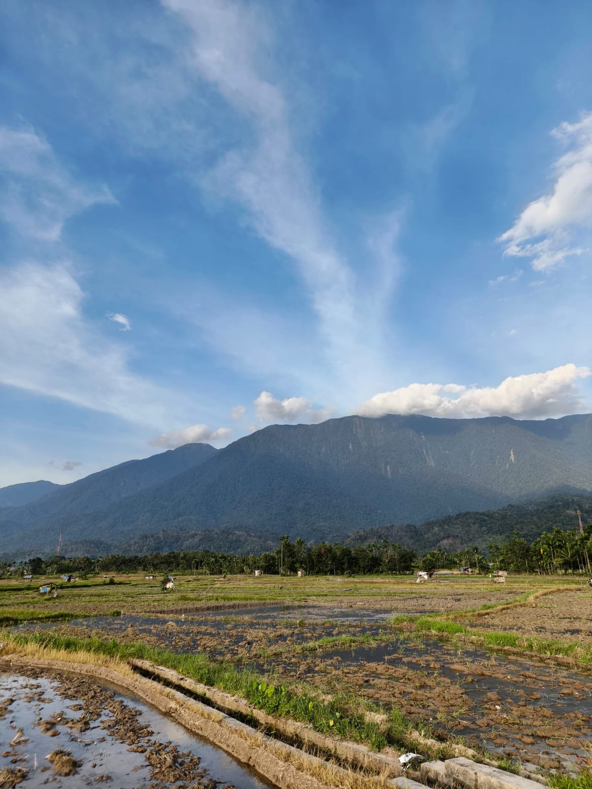 whatsapp image 2026 01 26 at 14.50.40 (2)