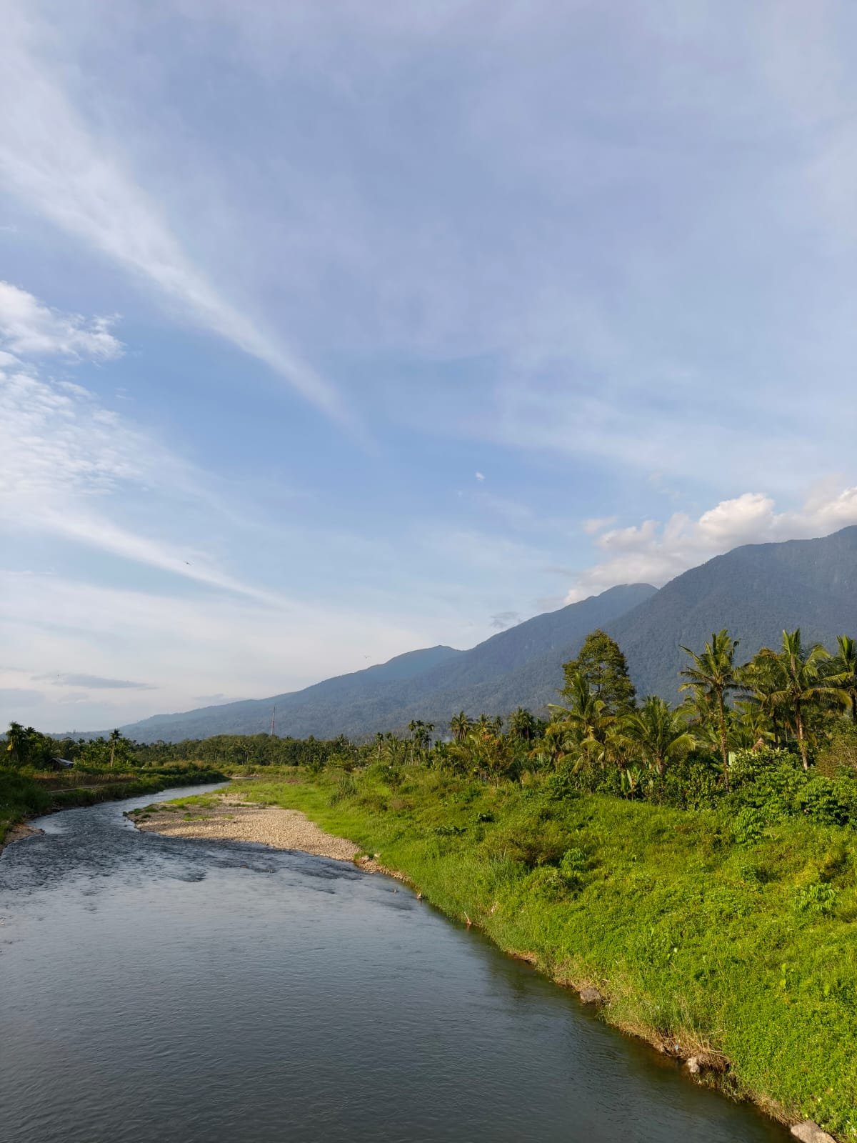 whatsapp image 2026 01 26 at 14.50.41 (1)